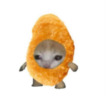 Oelala I'm cool