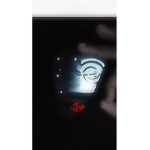 ysn gang