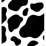 Cows say, moo