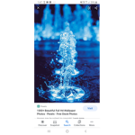 TaliaX