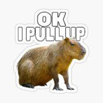 roblox capy bara group dance