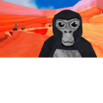 il gruppo dei gorilla