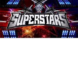 World Wrestling Entertainment #### ### ##### #####