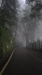 Cozylonia Group Thumbnail