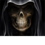 Northern Black Ops