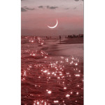 - aesthetics by Mali- <3