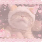 kitty lovely arissa group
