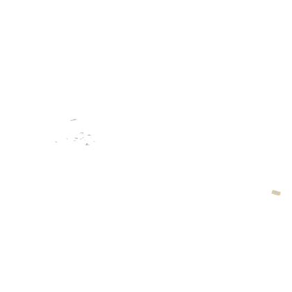 Blox fruits Map