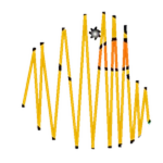 Wave Duck