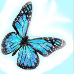 blue sparkly Butterflies