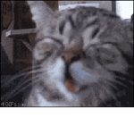 5.24