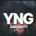 YNG ひ