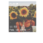 sunflower vibes squaddd.