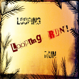 Looping RUN!