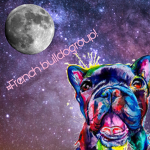 French bull dog fan group