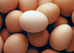 DA ARMY OF EGGS