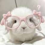 im bunny