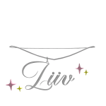liiv silver necklace  /dittoo