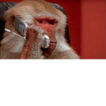 LilGamingMonkeys
