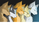 warriorsforyou