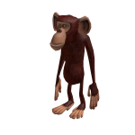 Monkey