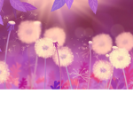 dandeliondragon