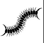 Worm [OS]