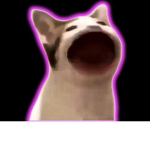 Can popcats join???