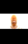 LeBron$