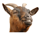 Goat Co.