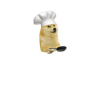 The colinary arts chefs