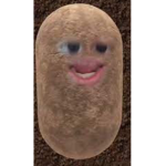 (Cringe) Potato club!!