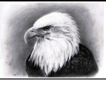 = Order Of The Eagle =