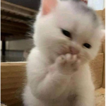 KATZ LUHV