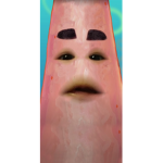 Bordies