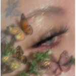 shiny Butterfly<3