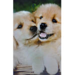 Only people how love puppy's can join!