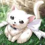 TheCatMaster8 Fans 😸
