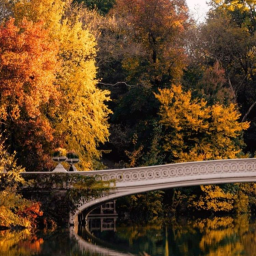 🍂