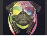THE EPIC PUGSTERS!