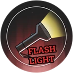 Flash Light