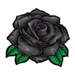 Rosé | 薔薇