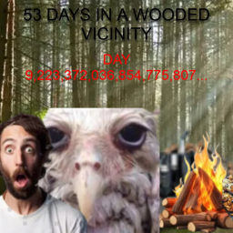 53 days in the wooded vicinity