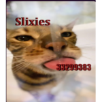 Slixies無