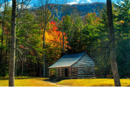 a cabin in the woods (not the movie)