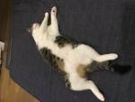 モンキーワールド