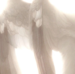heaven & co.