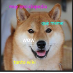 meme land SUPER