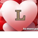 Pro group L