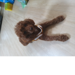 로블록스 별이 티비 구독자용